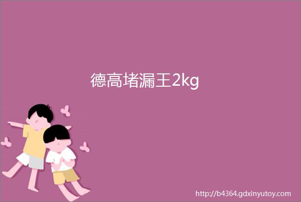 德高堵漏王2kg