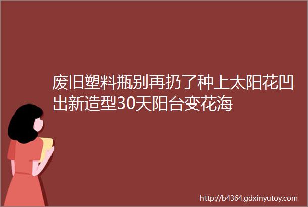 废旧塑料瓶别再扔了种上太阳花凹出新造型30天阳台变花海